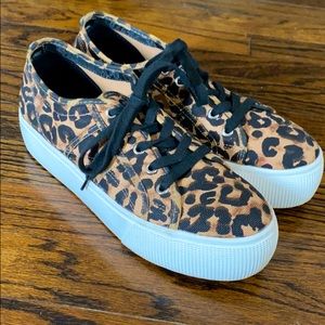 Steve Madden leopard platform sneaker